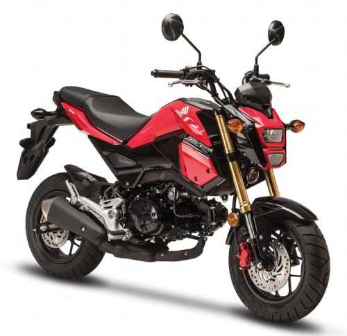 Honda Grom Insurance