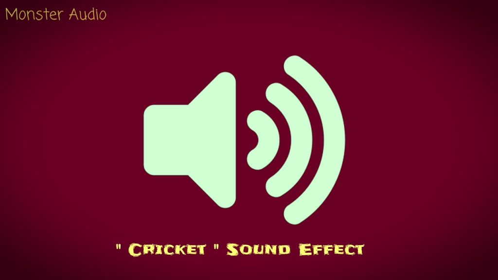 Cricket Sound Effect Download – Best Quality Online