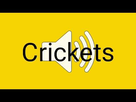 Crickets Sound Effect Download – Boost Your Audio Library Today