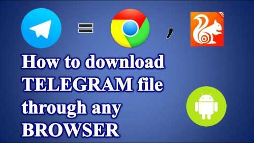 how to download restricted videos from telegram on pc