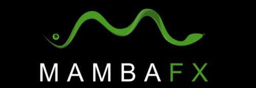 Mamba FX Course Free Download – Improve Your VFX Skills Now