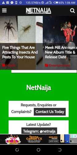 Netnaija App Download