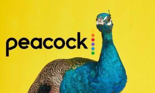 Peacock Download PC: Get Your Favorite Shows Anytime!