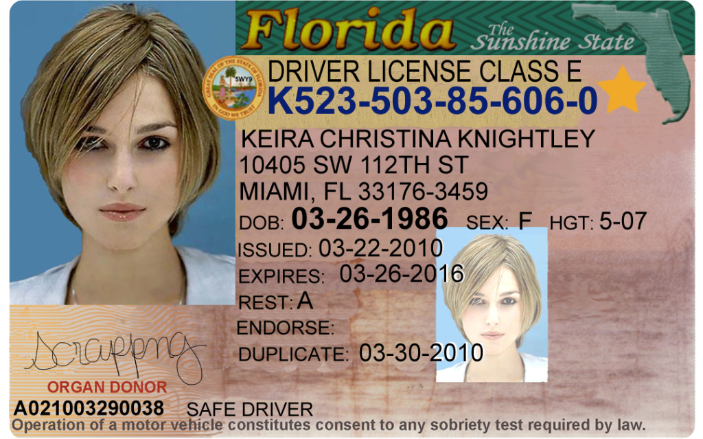 photoshop drivers license template download