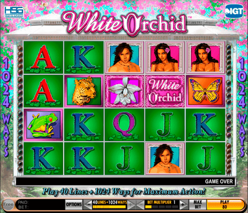 White Orchid Slot Machine Free Download for Android Free – Get It Now!