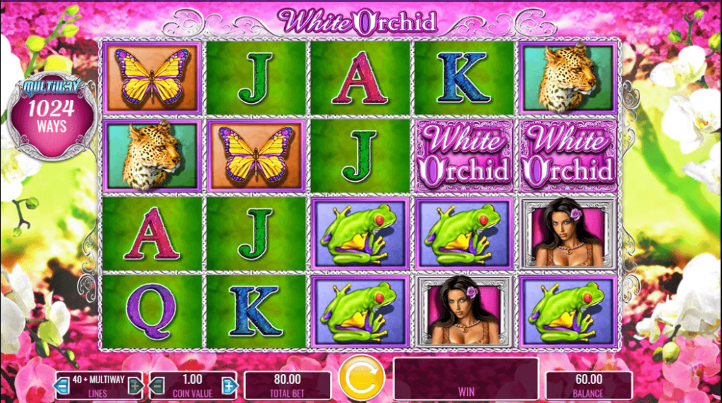 White Orchid Slot Machine Free Download for Android Free – SEO Optimization